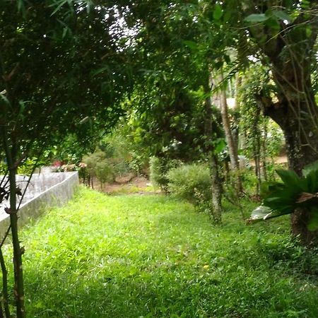 Philip Mary Farm Stay เทกคาดี ภายนอก รูปภาพ