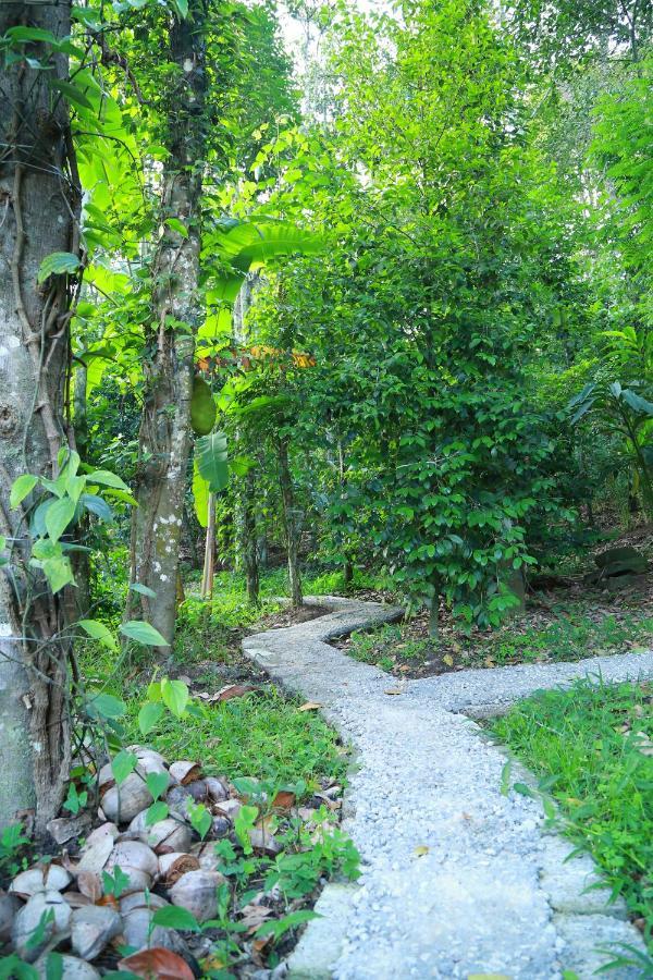 Philip Mary Farm Stay เทกคาดี ภายนอก รูปภาพ