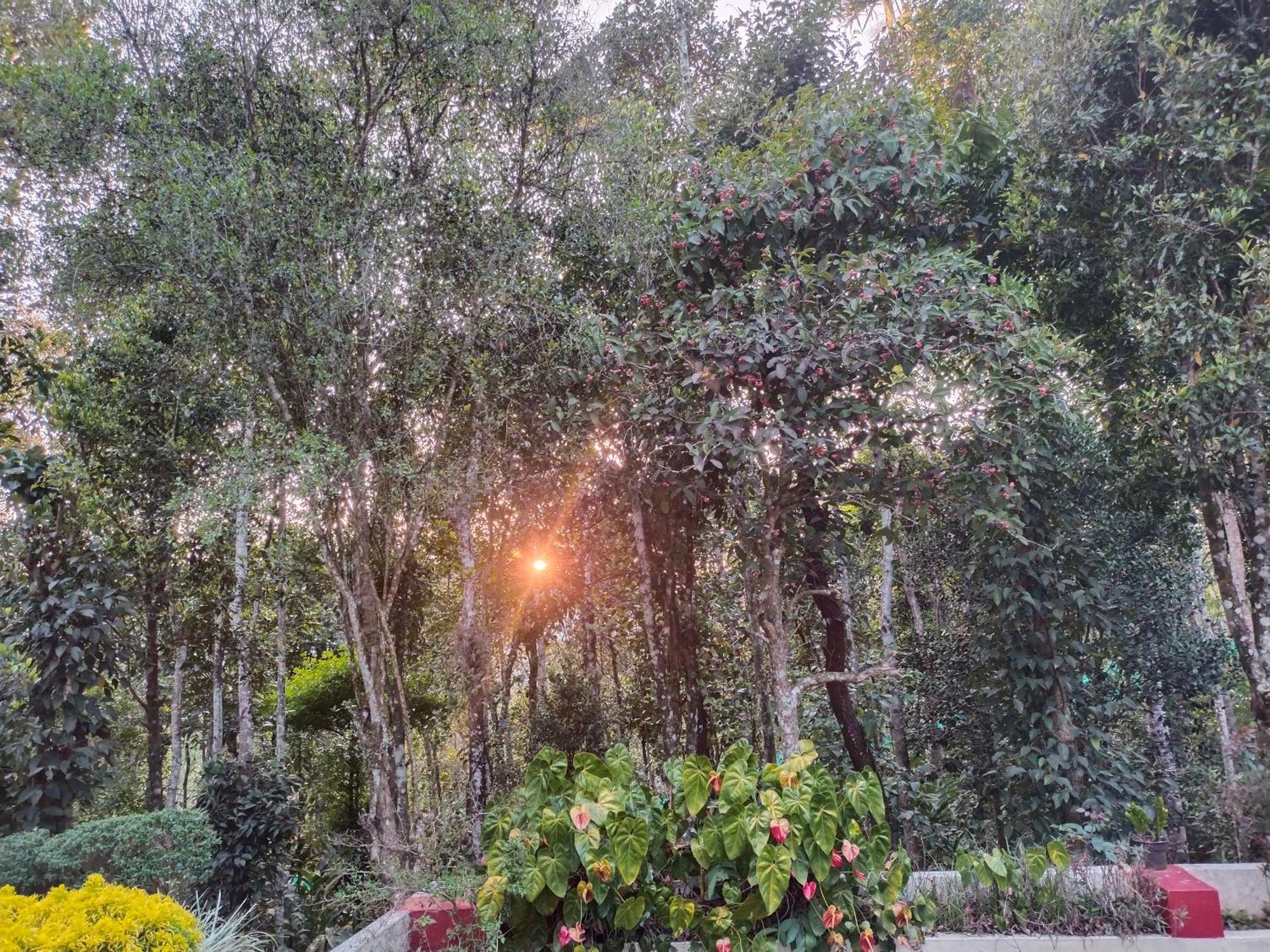 Philip Mary Farm Stay เทกคาดี ภายนอก รูปภาพ