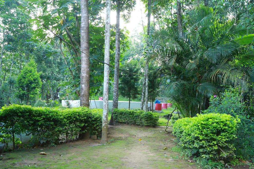 Philip Mary Farm Stay เทกคาดี ภายนอก รูปภาพ