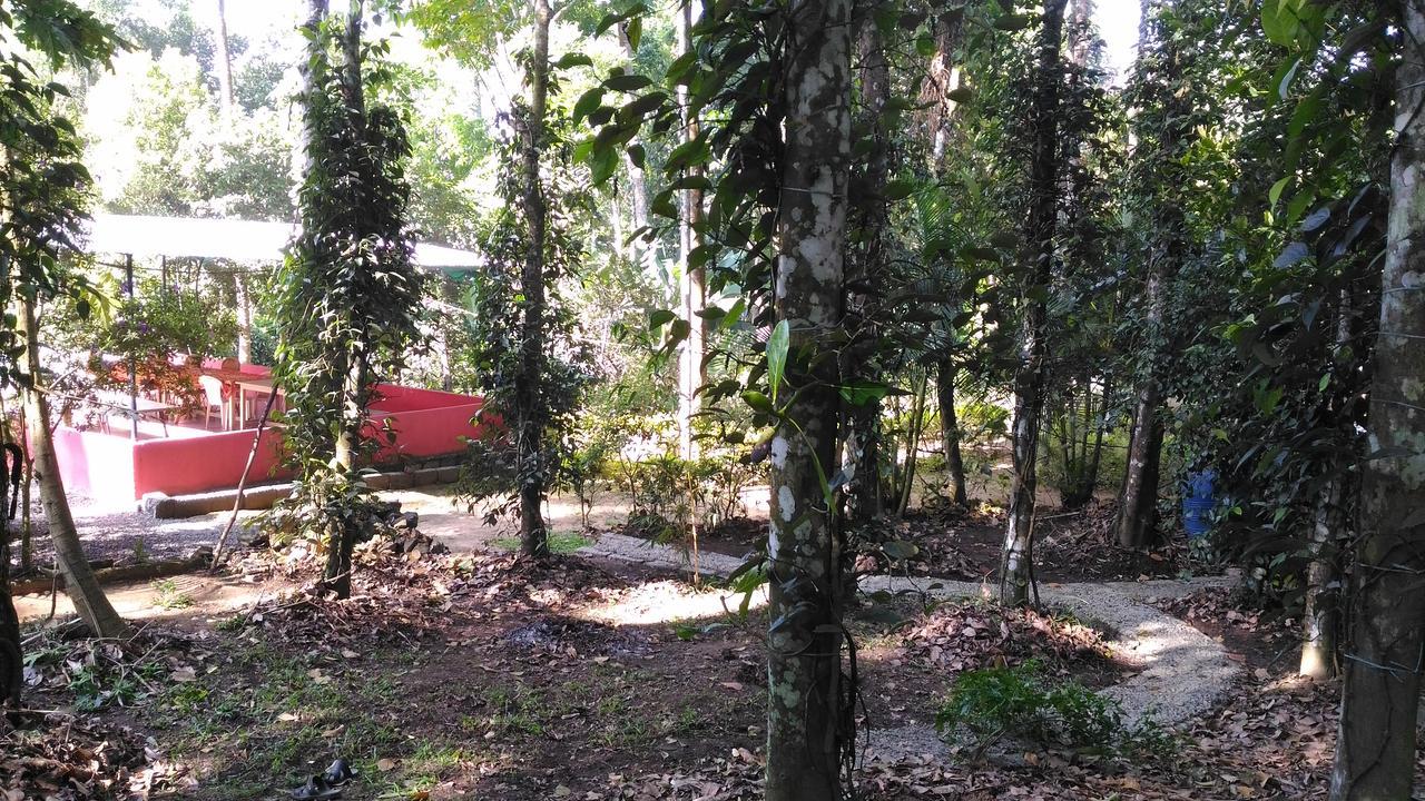 Philip Mary Farm Stay เทกคาดี ภายนอก รูปภาพ