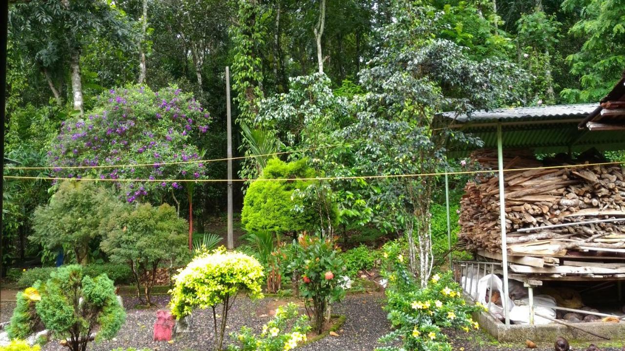 Philip Mary Farm Stay เทกคาดี ภายนอก รูปภาพ