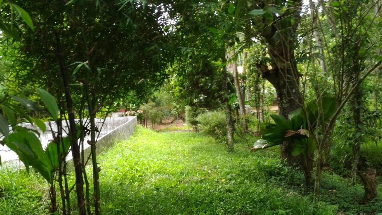 Philip Mary Farm Stay เทกคาดี ภายนอก รูปภาพ