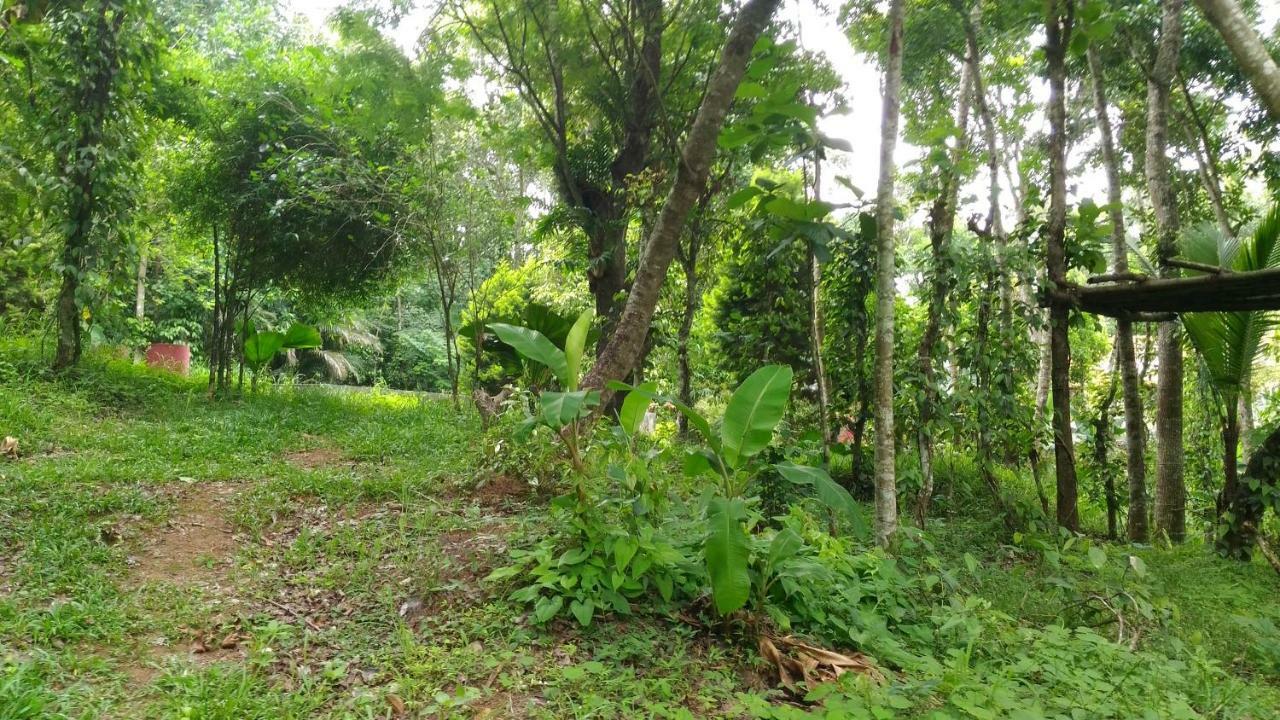 Philip Mary Farm Stay เทกคาดี ภายนอก รูปภาพ